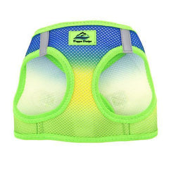 American River Choke-Free Dog Harness - Cobalt Sport Ombre