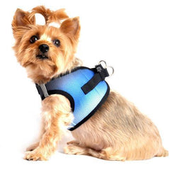 American River Choke-Free Dog Harness - Midnight Sky Ombre