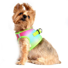 American River Choke-Free Dog Harness - Rainbow Ombre
