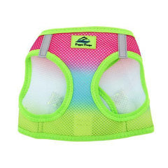 American River Choke-Free Dog Harness - Rainbow Ombre