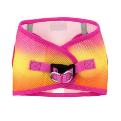 American River Choke-Free Dog Harness - Raspberry and Orange Sorbet Ombre