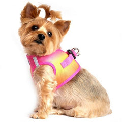 American River Choke-Free Dog Harness - Raspberry and Orange Sorbet Ombre