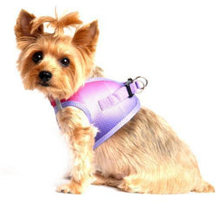 American River Choke-Free Dog Harness - Raspberry Sundae Ombre