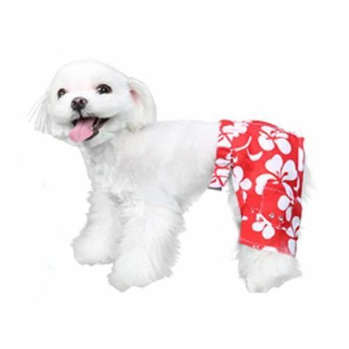 Okinawa Dog Swim Trunks - Red