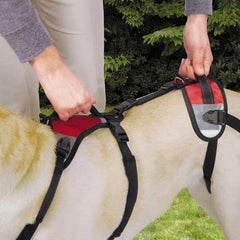 Total Pet Health Lift & Go Dog Leads - Red