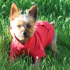 Basic Dog Hoodie - Tomato Red