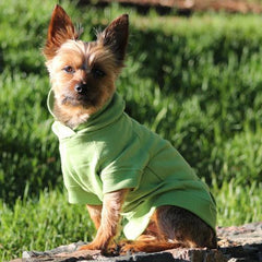 Basic Dog Hoodie - Parrot Green