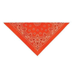 Paisley Dog Bandana - Orange