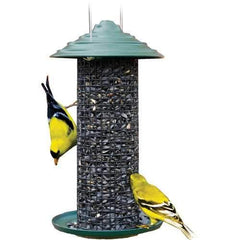 Mini Magnum Black Oil Sunflower Feeder