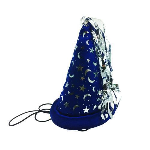 Wizard Dog Hat