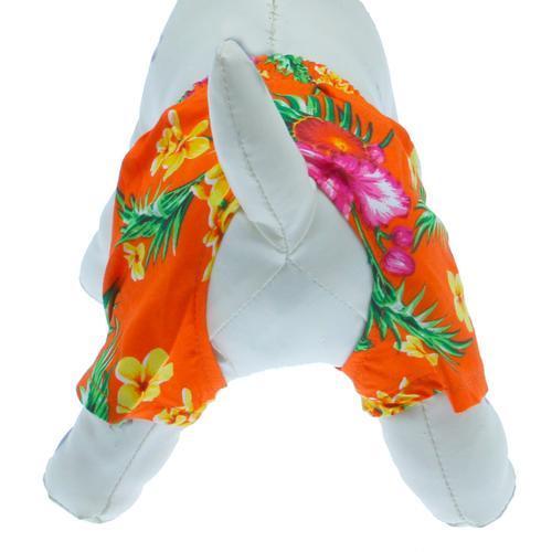 Hawaiian Swim and Board Dog Trunks - Orange