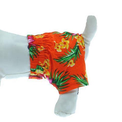 Hawaiian Swim and Board Dog Trunks - Orange