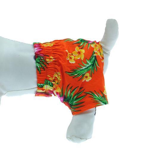 Hawaiian Swim and Board Dog Trunks - Orange