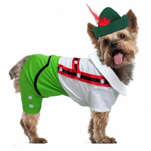 Alpine Boy Halloween Dog Costume