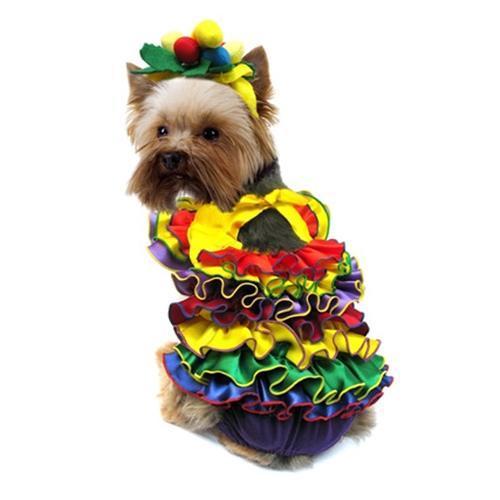Calypso Queen Dog Costume