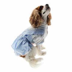 Dorothy Dog Costume Dress - Blue