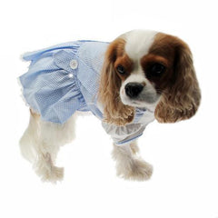Dorothy Dog Costume Dress - Blue