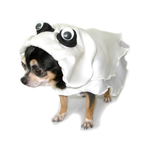 Ghost Dog Costume