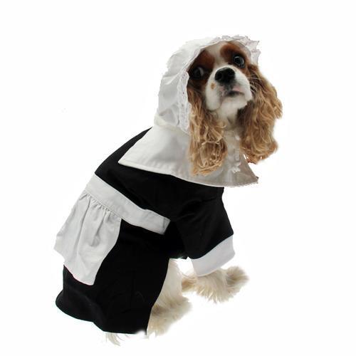 Pilgrim Girl Dog Costume
