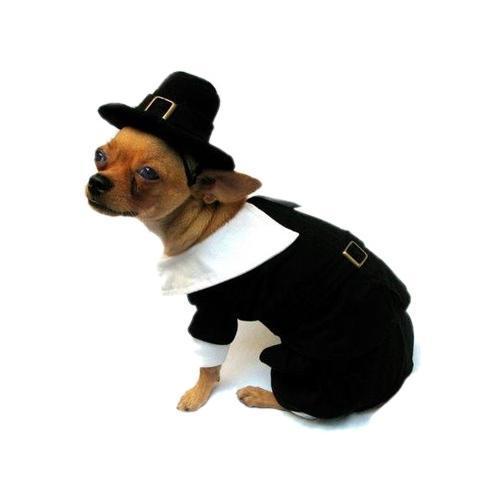 Pilgrim Boy Dog Costume