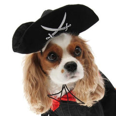 Caribbean Pirate Dog Costume