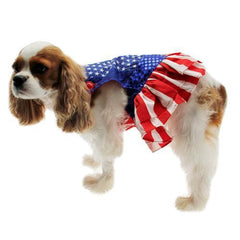 Superhero Dog Costume - Wonder Dog Dress