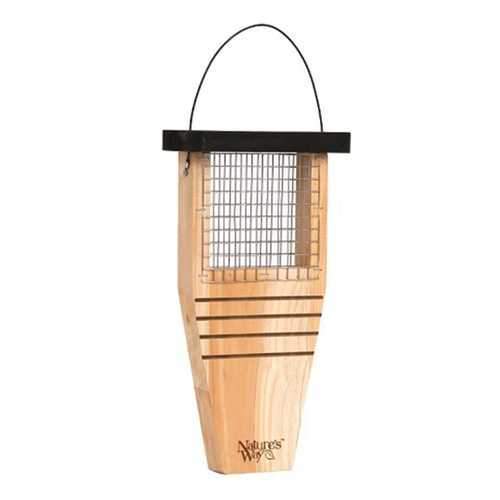 Tail-prop Suet Feeder