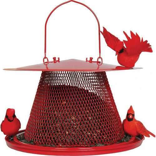 No/no Cardinal Feeder