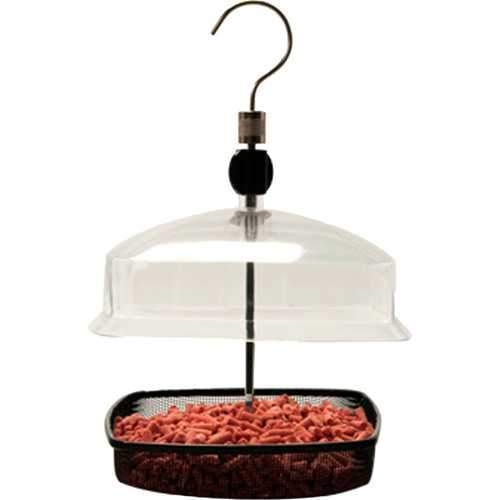 Premium Mealworm Domed Feeder