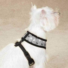 Casual Canine Reflective Pawprint Dog Harness - Gray