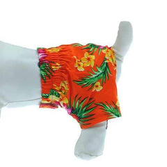 Hawaiian Swim and Board Dog Trunks - Orange