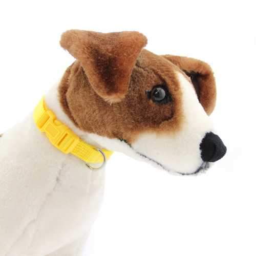 Nylon Dog Collar by Zack & Zoey - Yellow