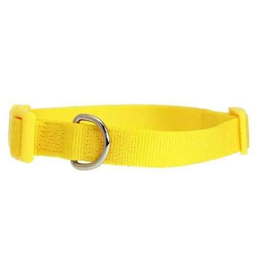 Nylon Dog Collar by Zack & Zoey - Yellow