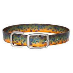 Brook Trout Dog Collar by Dublin Dog