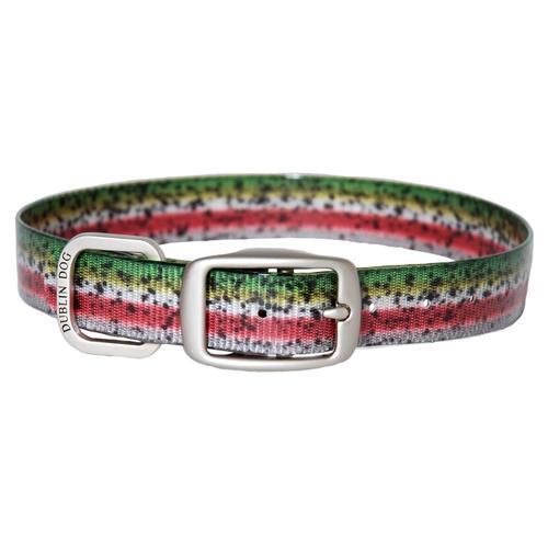 Rainbow Trout Dog Collar by Dublin Dog