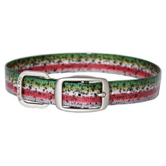 Rainbow Trout Dog Collar by Dublin Dog
