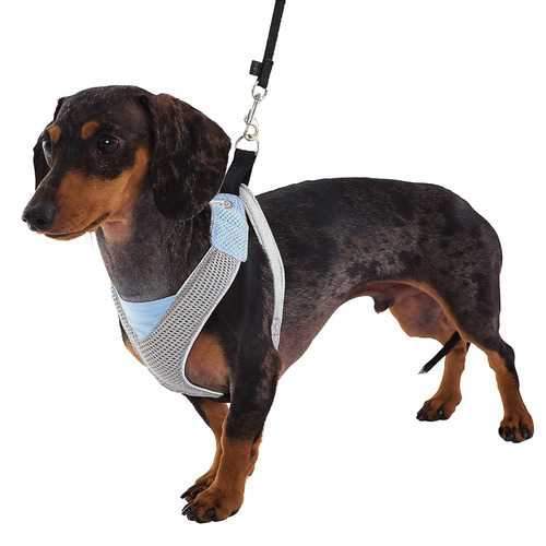 Doggles Blue & Gray V Mesh Harness