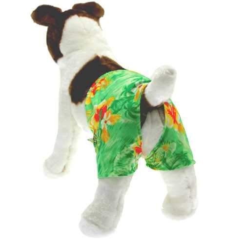 Hawaiian Swim and Board Dog Trunks - Green