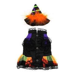 Halloween Witch Dog Costume