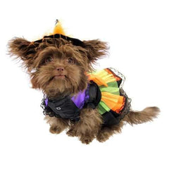 Halloween Witch Dog Costume