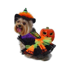 Halloween Witch Dog Costume