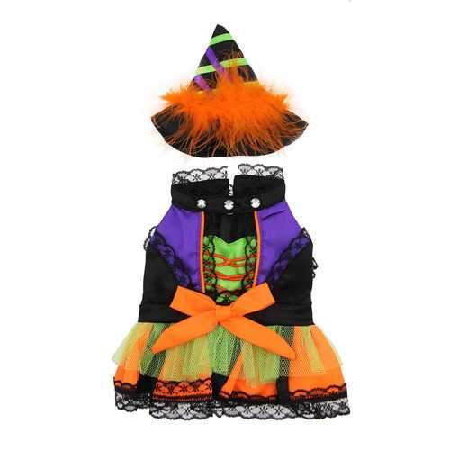 Halloween Witch Dog Costume