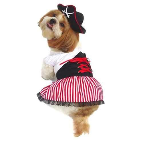 Lady Pirate Costume