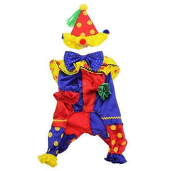 Shiny Clown Costume