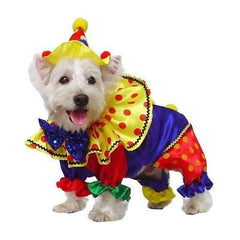Shiny Clown Costume