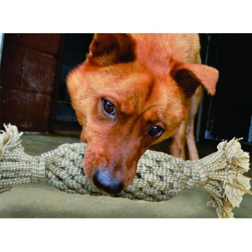Pineapple Dog Toy by Aussie Naturals
