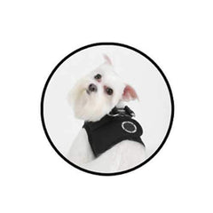 Soft Harness Vest by Puppia - Black