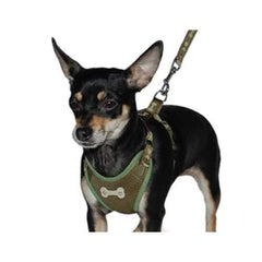 ActiveGo Bone Harness by Dogo - Green
