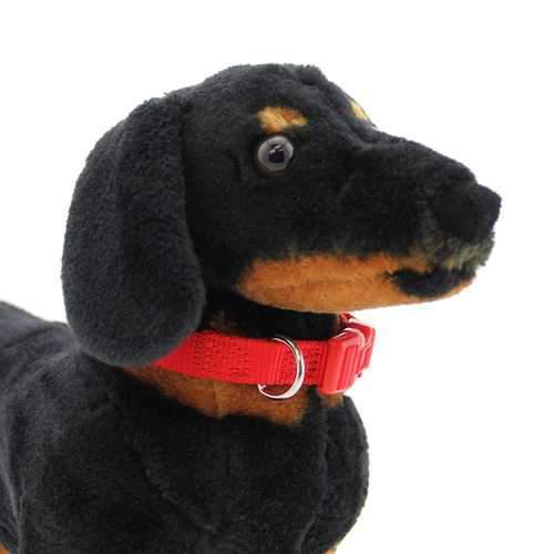 Nylon Dog Collar by Zack & Zoey - Tomato Red