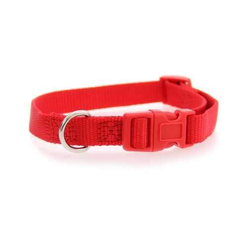Nylon Dog Collar by Zack & Zoey - Tomato Red